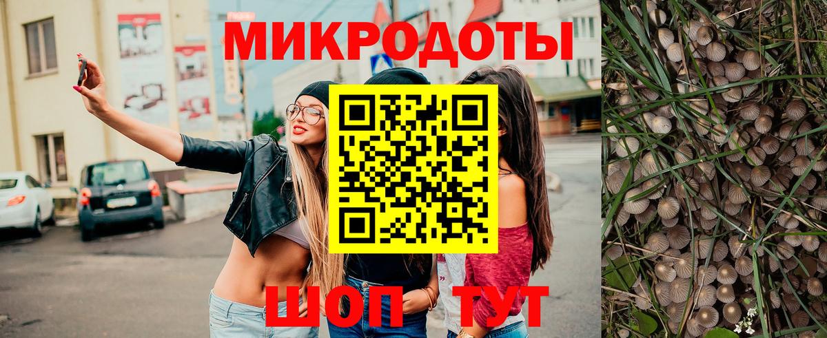 Чита  Галлюциногенные грибы MAGIC MUSHROOMS  Псилоцибиновые грибы Psilocybe  Вход с VPN 